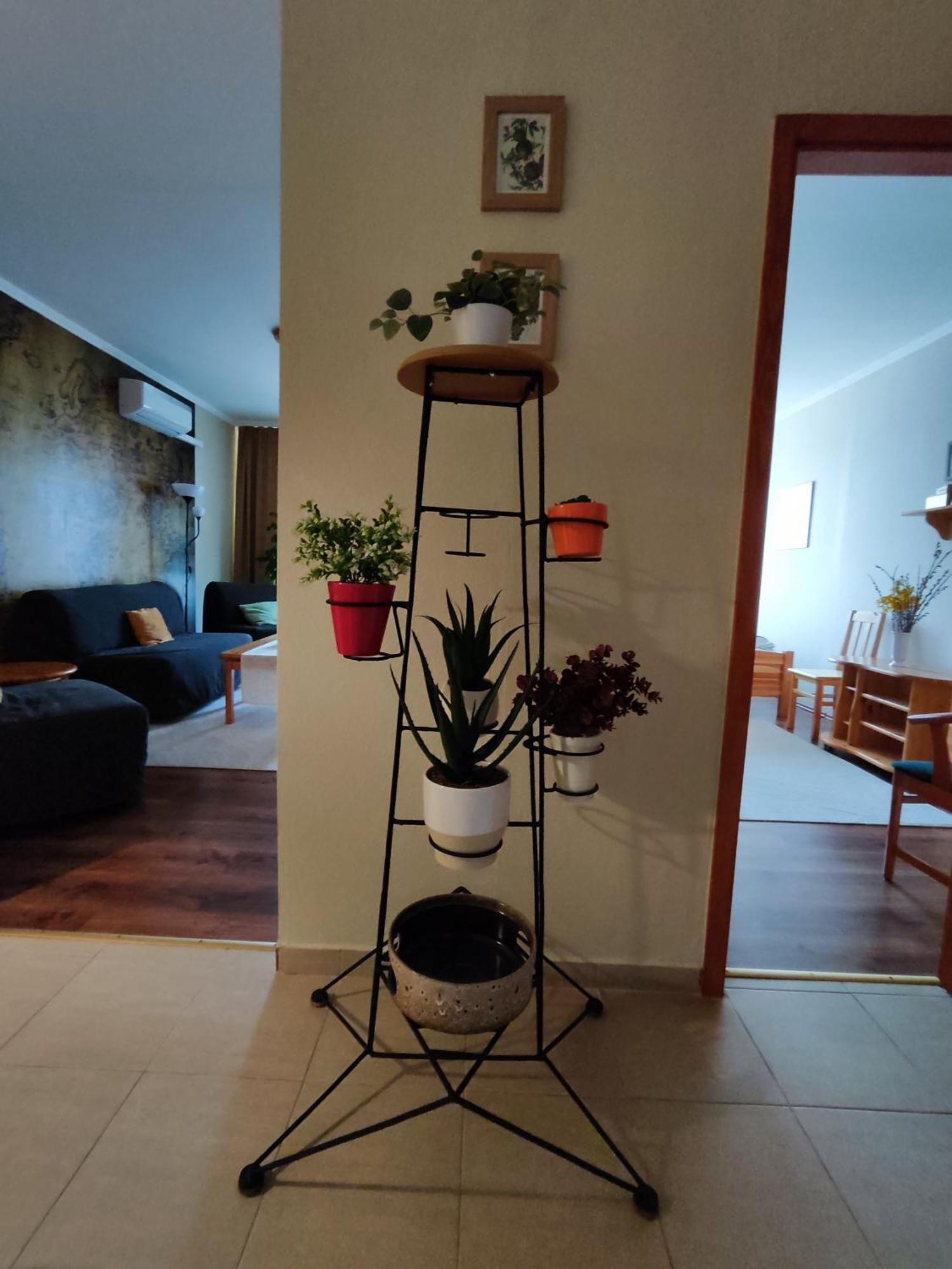 MezőkövesdSt. Benedek Apartmanlakas公寓 外观 照片